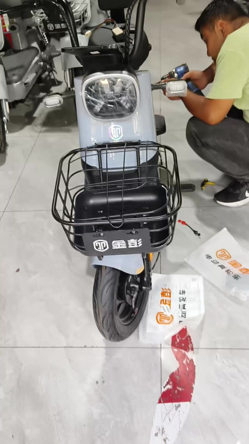 二轮电动车十大品牌截图