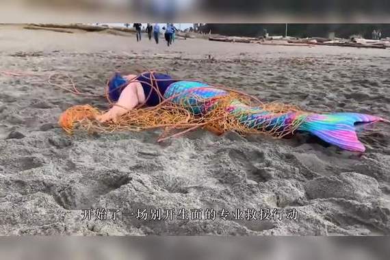 美人鱼被渔网绑住的剧情介绍