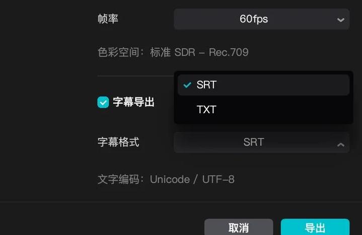 剪映的字幕可以导出吗图标