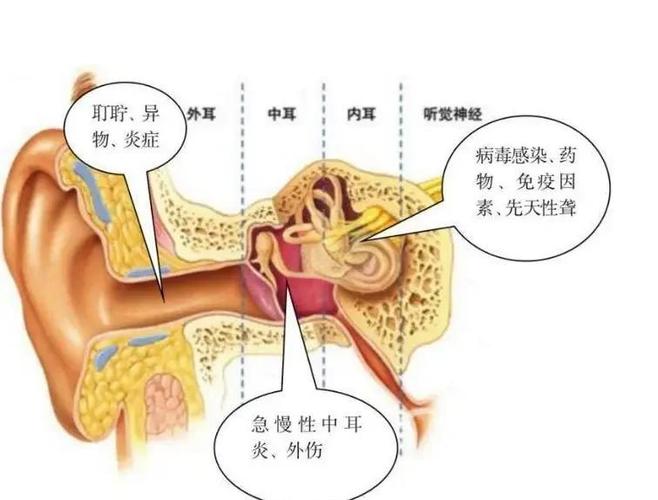 耳朵聋了怎么治疗最好截图