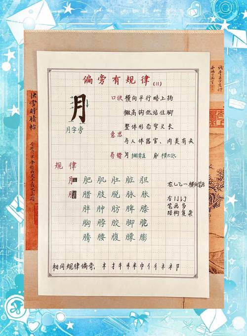 鸟字旁的字跟什么有关缩略图