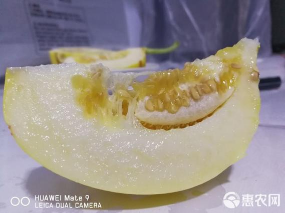 甜瓜游乐场35.1火山