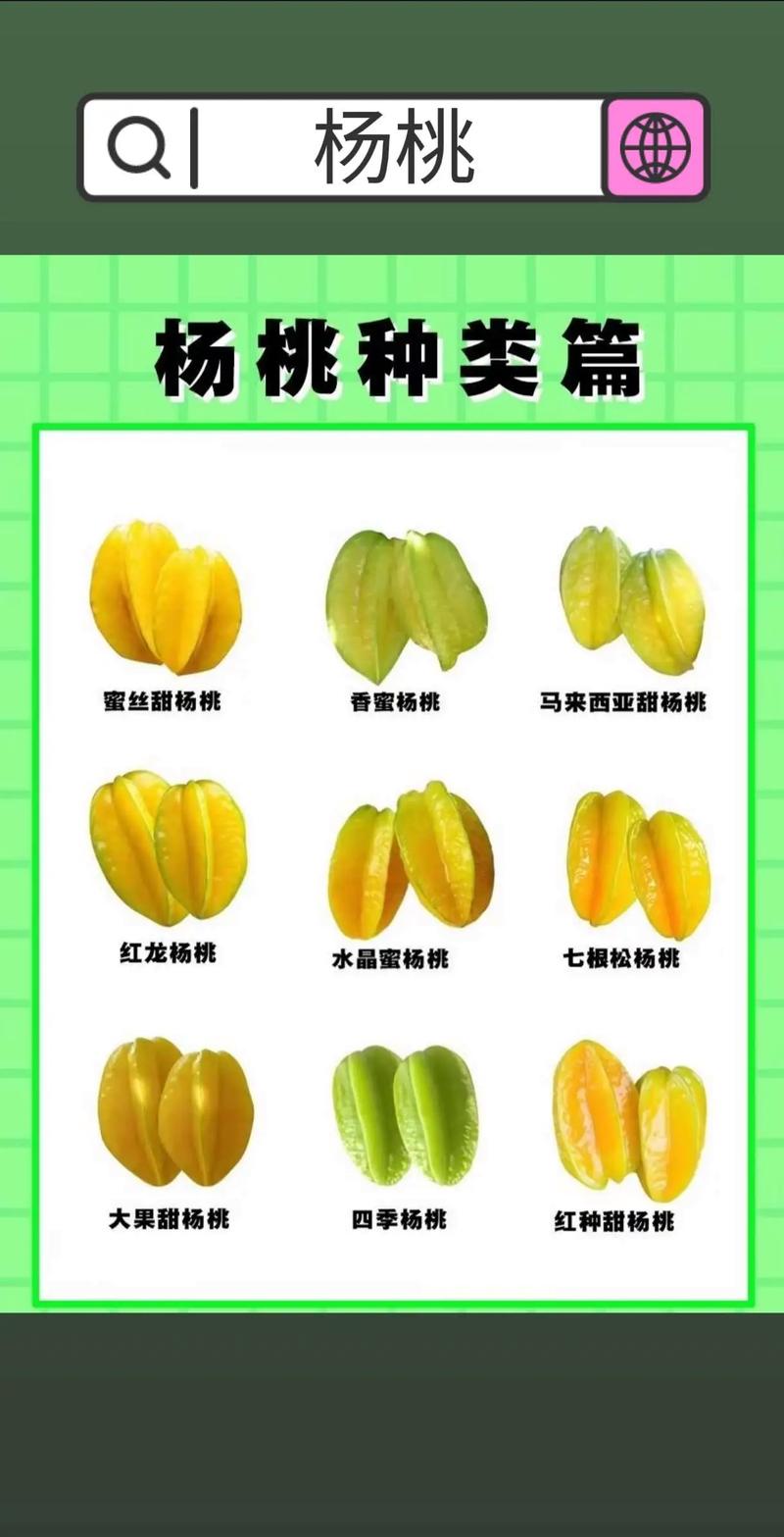 杨桃的外形描述截图