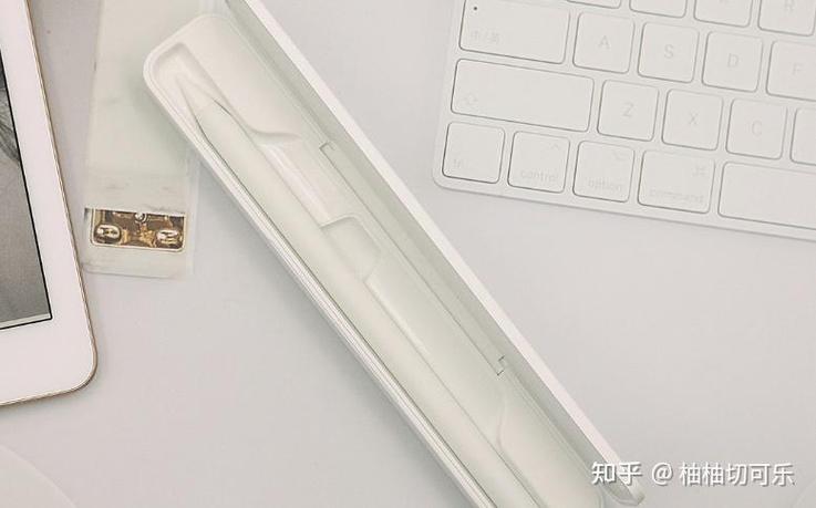 ipad2019能吸附笔吗图标