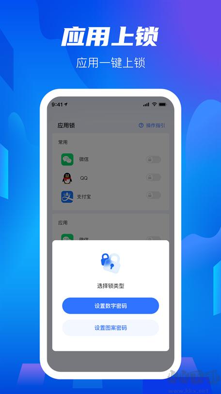 隐私盾破解版
