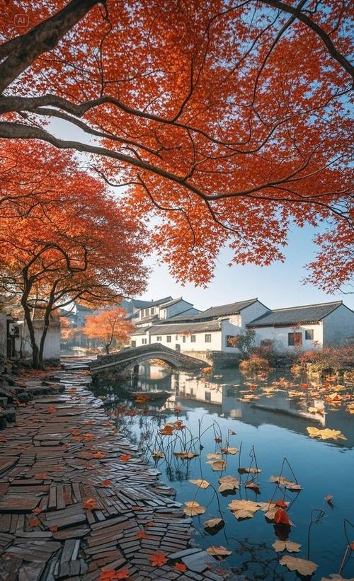 江南的秋是什么样的