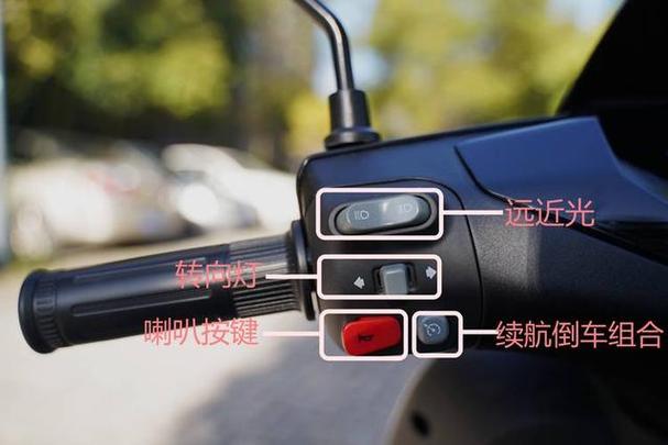电动车定速怎么解除