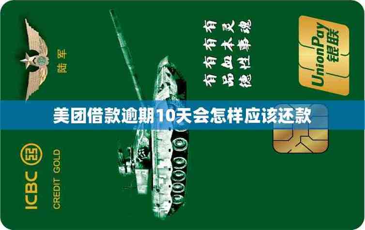 美团借钱逾期10天会怎么样截图