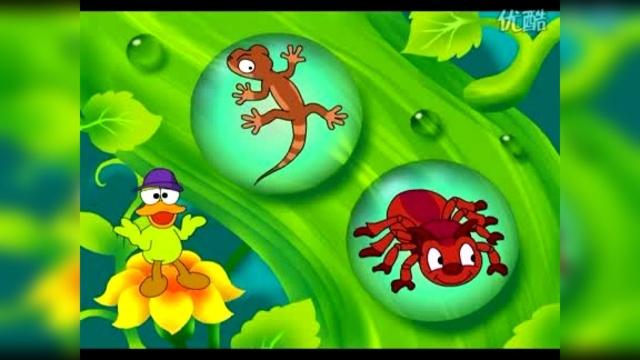 宝宝看世界神奇大自然
