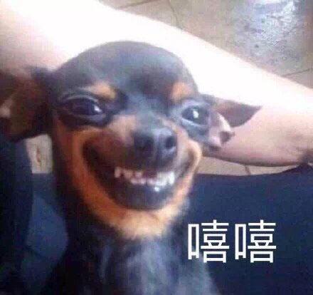 嘻嘻的笑缩略图