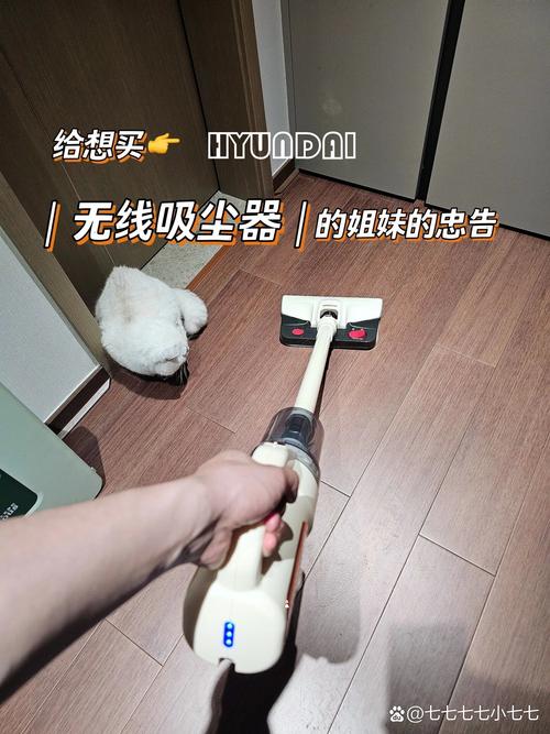 noxcleaner去升级版