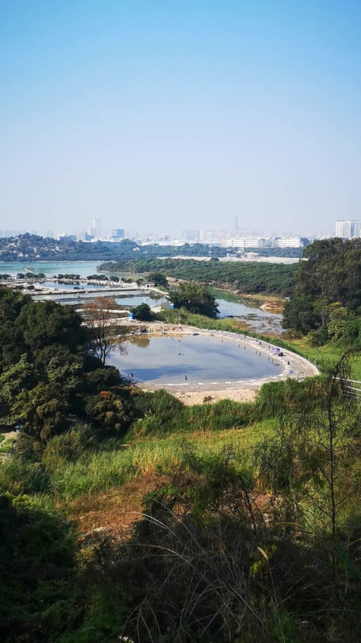 东莞钓鱼场缩略图