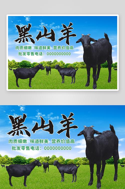 卖自己山羊广告词图标