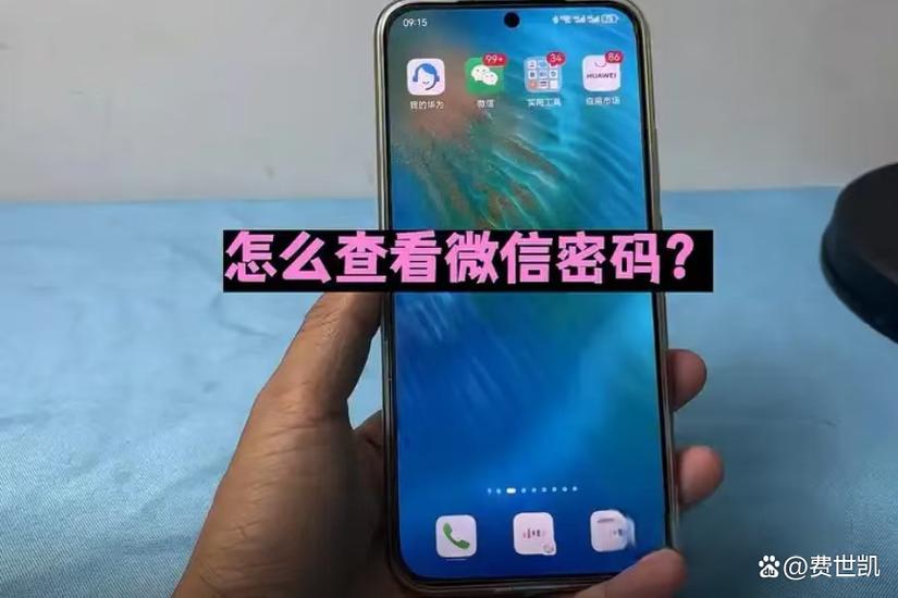 密码查看