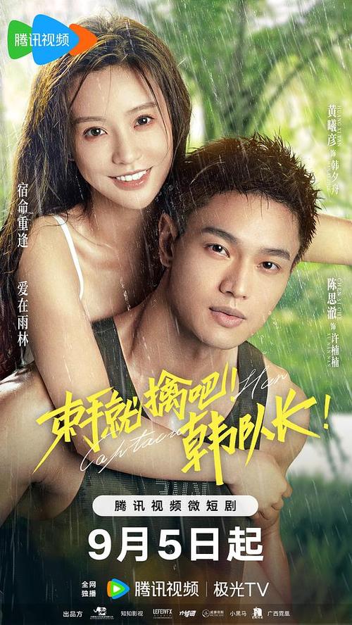 免费观看国语高清电视剧缩略图