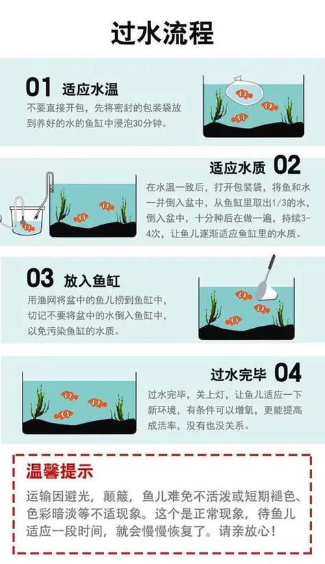 怎么养好鱼缸里的鱼