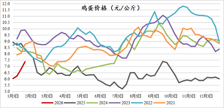 鸡蛋现货价格