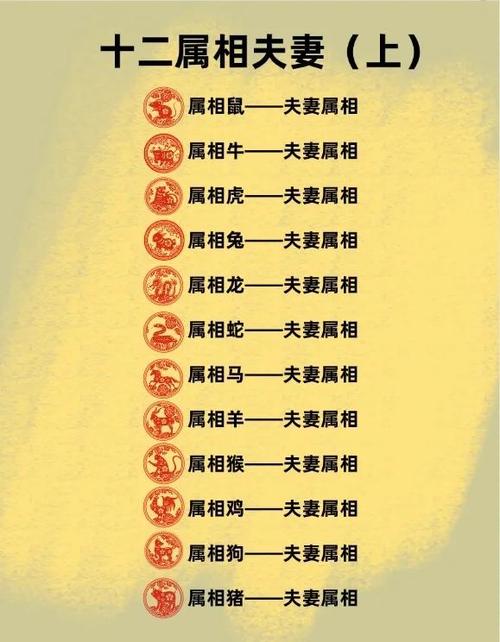 查找另一半情侣头像的软件图标