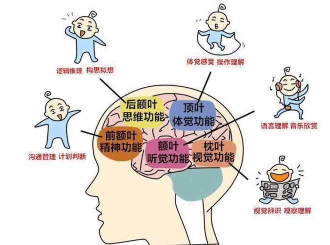 培养娃娃的必要性