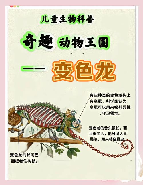 变色龙7.3最新版本更新内容详细介绍