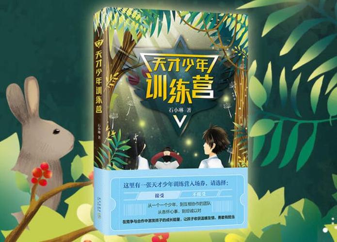 美国天才训练营