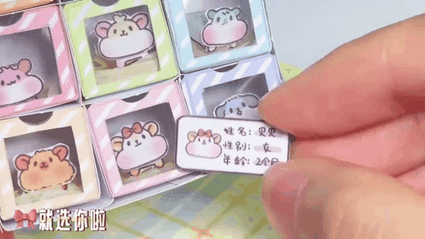 仓鼠死了会去哪里