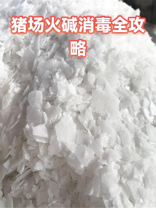 猪舍火碱消毒几天失效