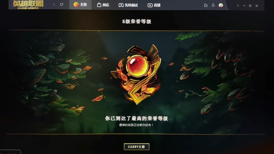 英雄联盟荣誉五级截图