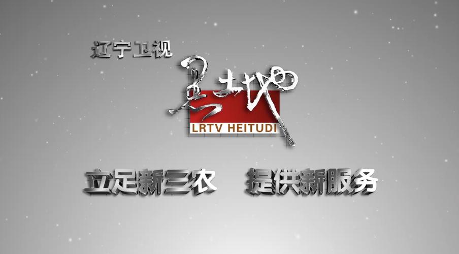辽宁卫视直播免费观看