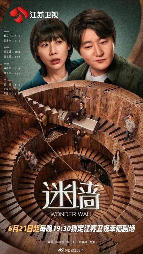 任素汐和郭京飞《迷墙》播出时间