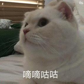 嘀嘀咕咕表情包缩略图