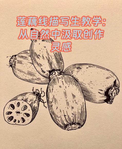 创作灵感来源介绍