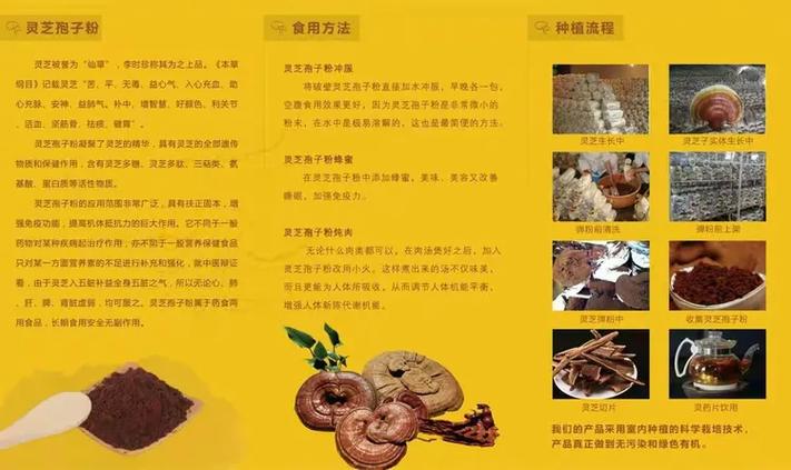 有机灵芝孢子功效与作用,怎么吃最好截图