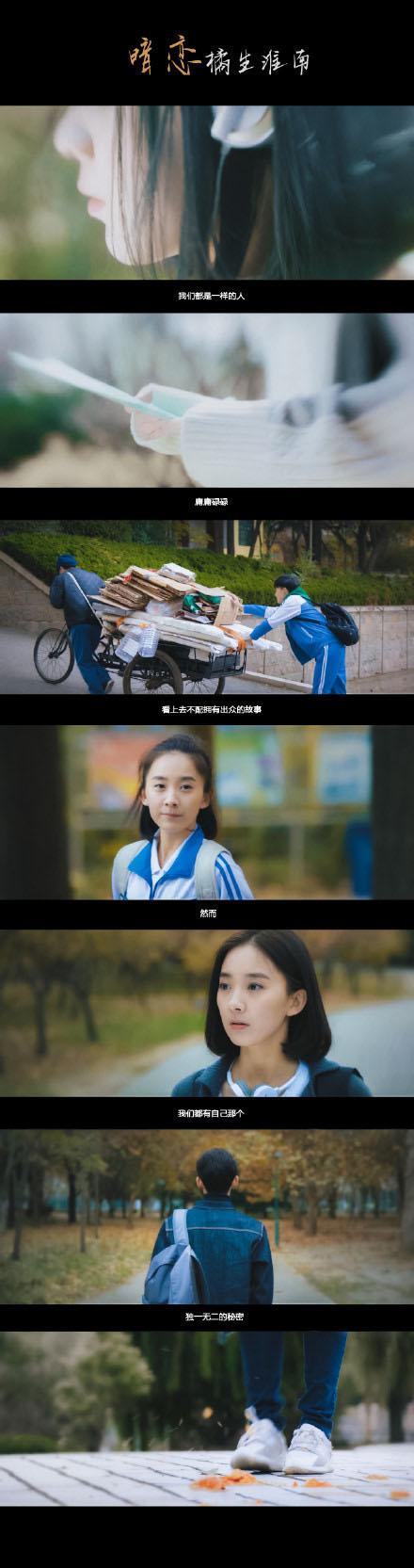 暗恋橘生淮南三部曲图标