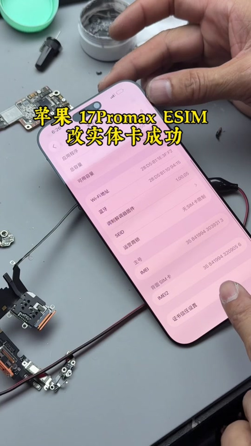 苹果17怎么插两张卡游戏截图