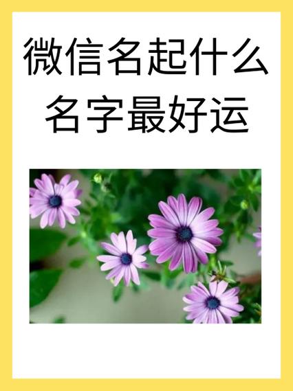 幸运星微信名字好吗图标