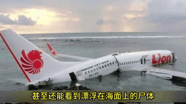 模拟飞机空难的游戏