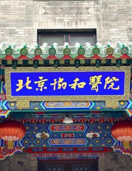 洞口北京协会