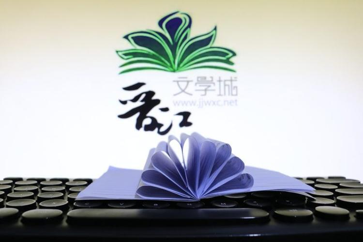 玲珑月晋江文学城