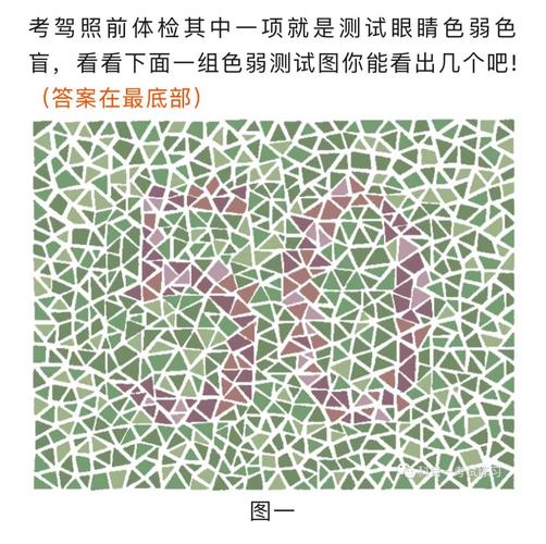 换驾证色盲测试及答案