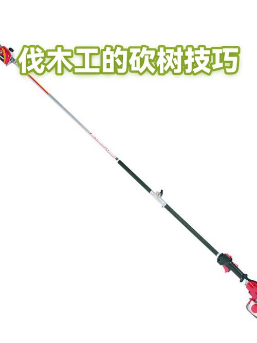 伐木与砍树区别