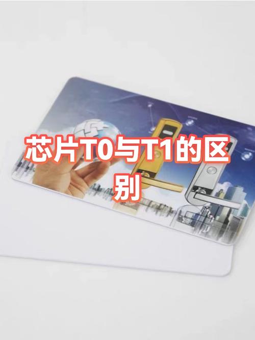 t0和t1哪个级别高