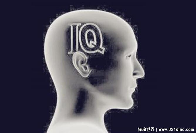 撒贝宁智商有多高