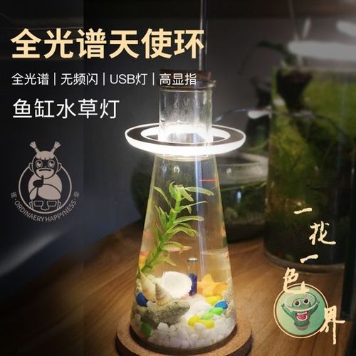 鱼缸开led灯对鱼好不好