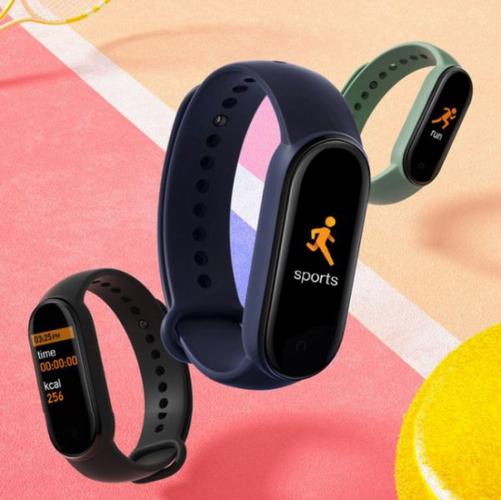 fitpr0智能手环截图