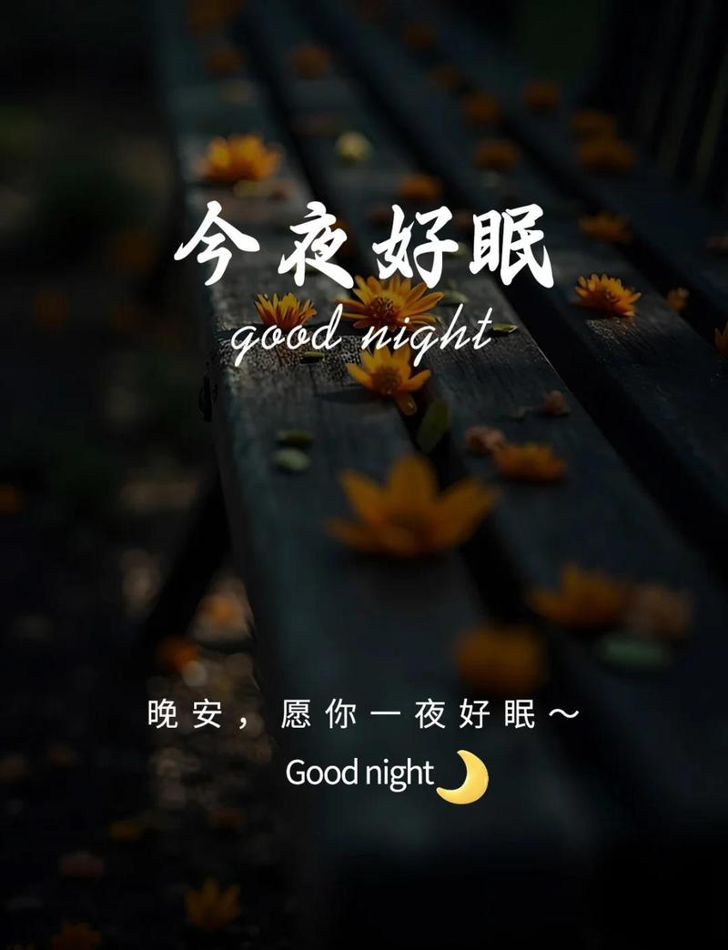 女人睡前发圈吸引人的句子图标