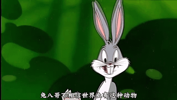 我和五个美女困在荒岛