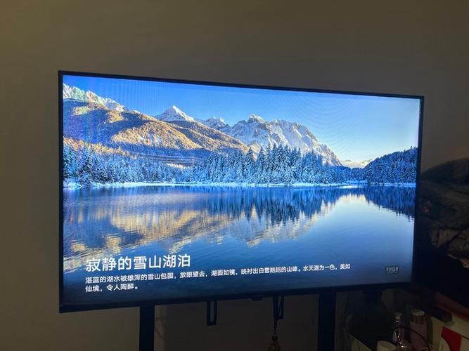 微鲸系统安装截图