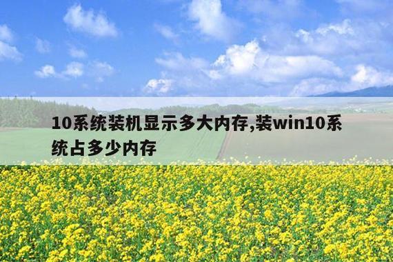 装了8g的内存只显示4g图标