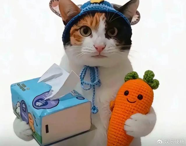 helloKitty的隐晦含义